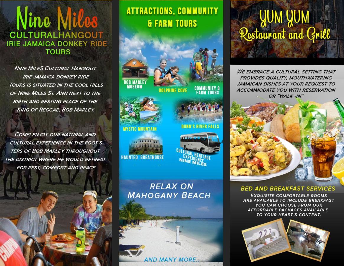 Stepney Nine Miles Cultural Hangouts And Tours מראה חיצוני תמונה