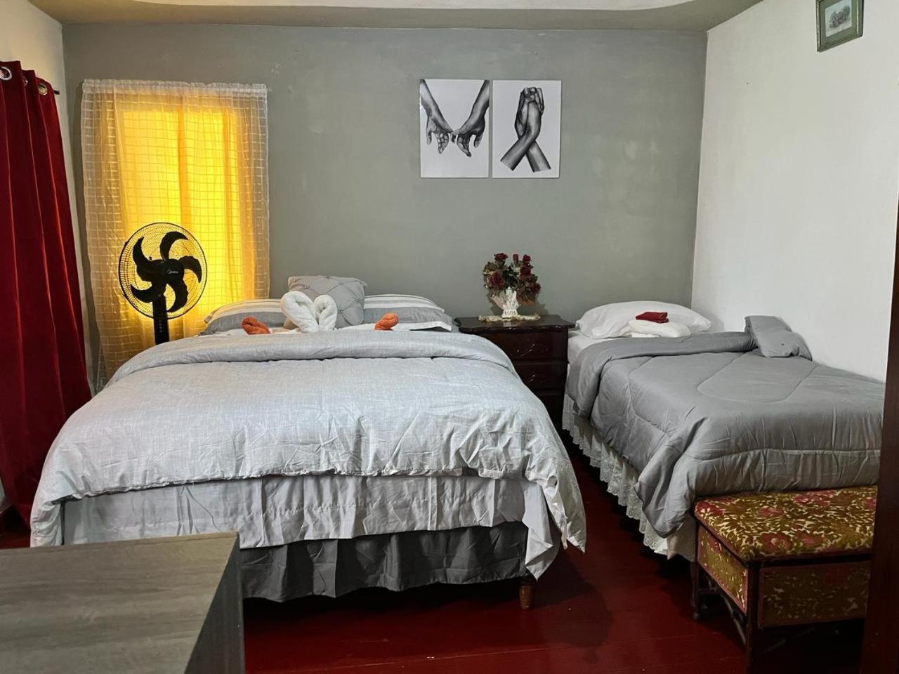 Stepney Nine Miles Cultural Hangouts And Tours מראה חיצוני תמונה