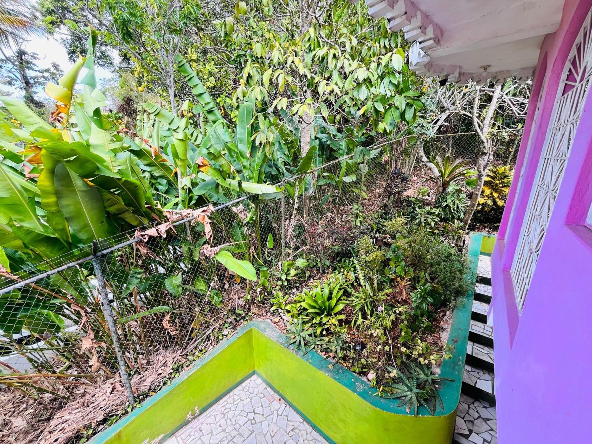 Stepney Nine Miles Cultural Hangouts And Tours מראה חיצוני תמונה